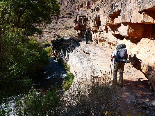 Tapeats Canyon Ledge Walking
